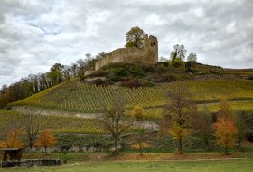 Phoca Thumb M Herbst In Hecklingen 9414 2018